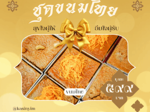 ชุดของฝาก ขนมไทย (ชุดพรีเมียม)