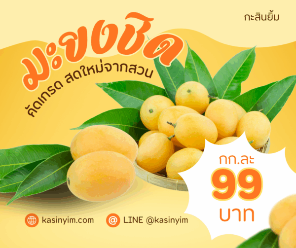 มะยงชิด สวนเกษตรเมืองน้ำดำ