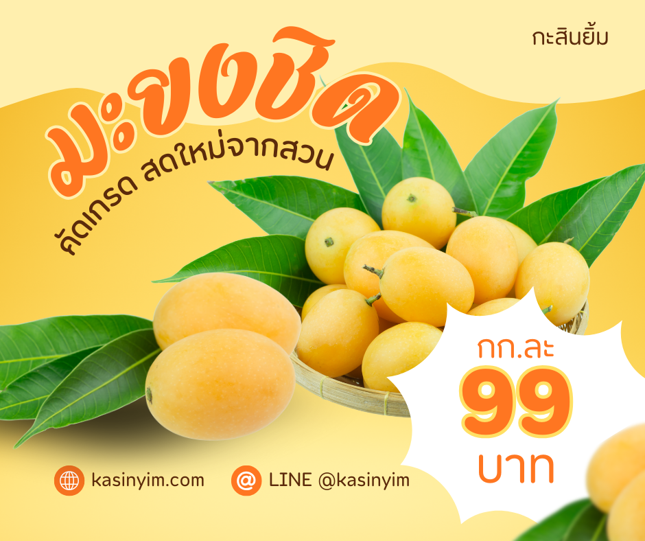 มะยงชิด สวนเกษตรเมืองน้ำดำ